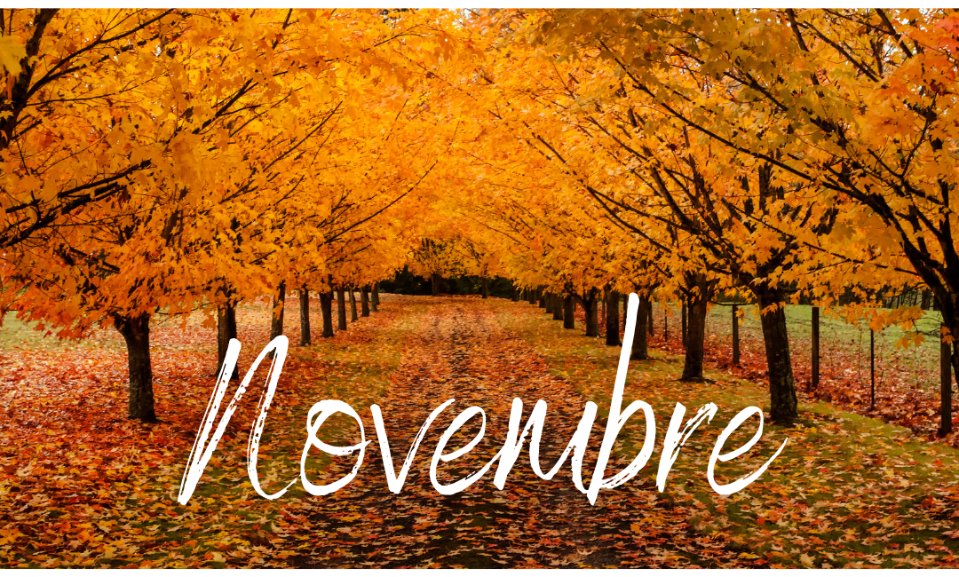 Novembre 2021